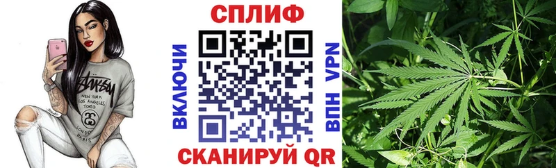 Где купить наркотики Белинский MDMA  A PVP  ГАШ  Кокаин  Амфетамин  Псилоцибиновые грибы 