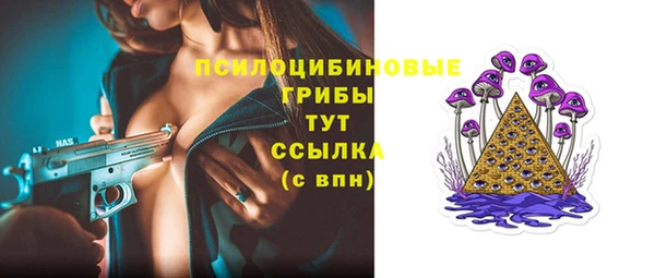 а пвп мука Богданович