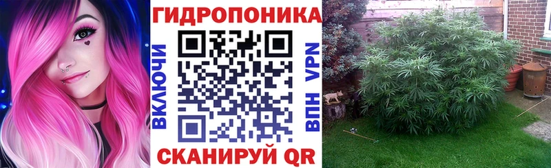 купить наркотик  Белинский  Каннабис ГИДРОПОН 